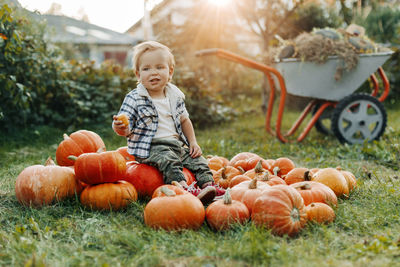 A smiling kid in a plaid shirt is sitting on a large pile of orange pumpkins. harvest, autumn