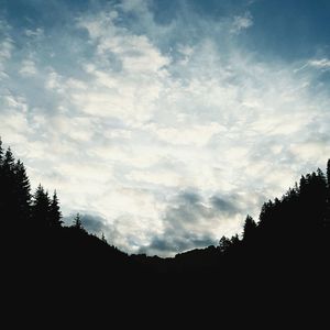 Low angle view of silhouette trees against sky