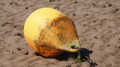 Close-up of buoy at beach