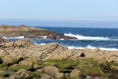 Scenic view of beach against clear sky