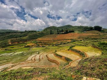 Scenic view of agricultural field against sky