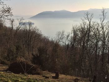 Scenic view of lake and trees against sky