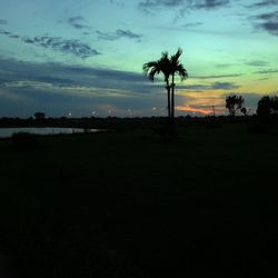 Silhouette palm trees on field against sky at sunset