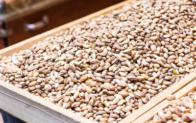 High angle view of beans in container