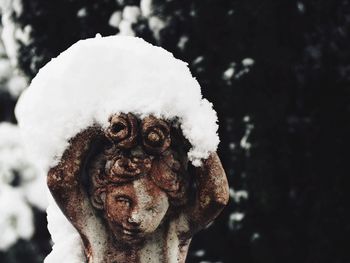 Close-up of snow on tree