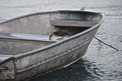 Bird eating on boat in lake