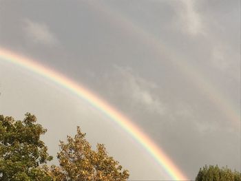 Low angle view of rainbow over trees against sky