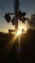 Silhouette of tree at sunset