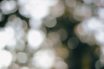 Full frame shot of defocused lights