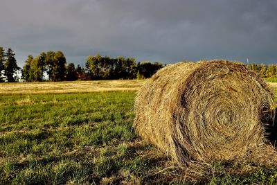 Hay bales on field against sky