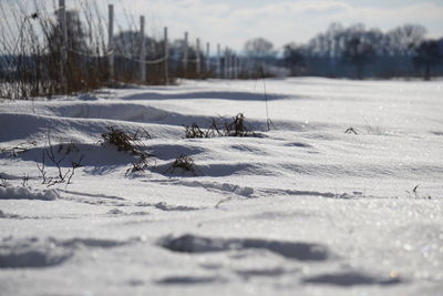 Scenic view of snow covered field