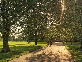 Rear view of people walking on footpath in park