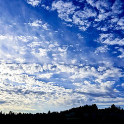 Silhouette trees against blue sky