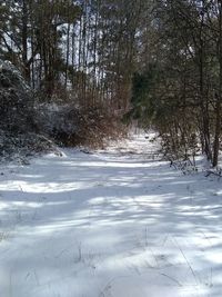 Snow covered landscape