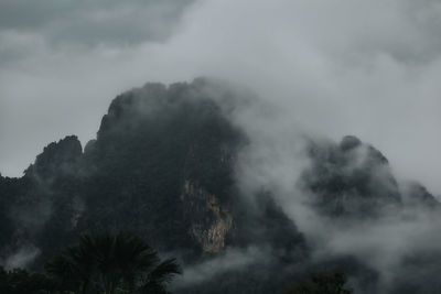 Misty mountains landscape in the morning