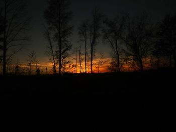 Silhouette of trees at sunset