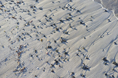 High angle view of crowd on beach