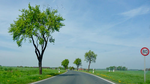 Road by trees against sky