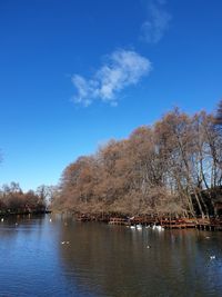 Scenic view of lake against blue sky