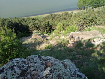 Scenic view of rocks by trees on landscape