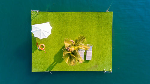 Directly above shot of green paper