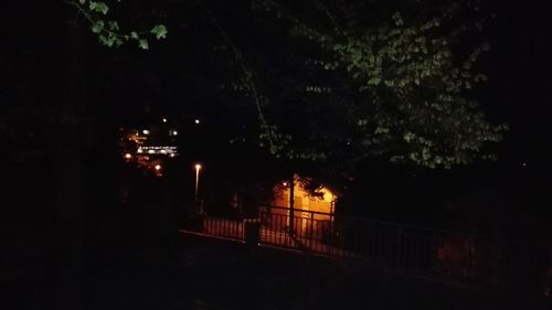 Illuminated tree against sky at night