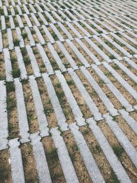 Full frame shot of patterned footpath in garden