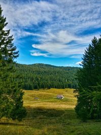 Scenic view of grassy field against cloudy sky