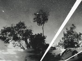 Low angle view of trees against sky