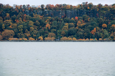 Scenic view of lake by trees during autumn