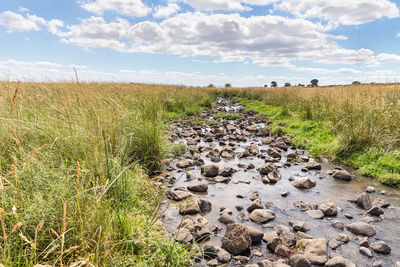 Scenic view of land against sky