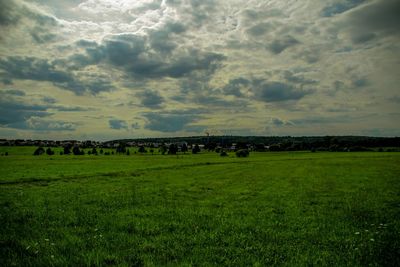 Sheep grazing on field against sky