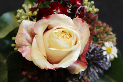 High angle view of rose bouquet