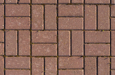 Red bricks floor texture with moss and sprouts under direct sunlight
