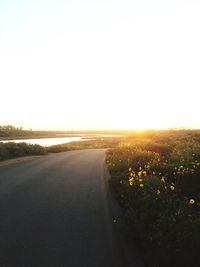 Scenic view of trees against clear sky during sunset