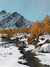 Frozen trees on mountain against sky