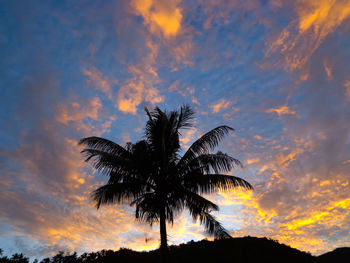 Low angle view of silhouette palm trees against sky during sunset