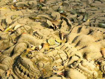 High angle view of birds on sand