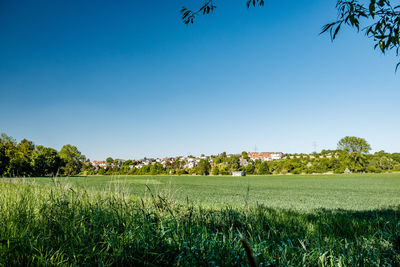 Scenic view of field against clear blue sky