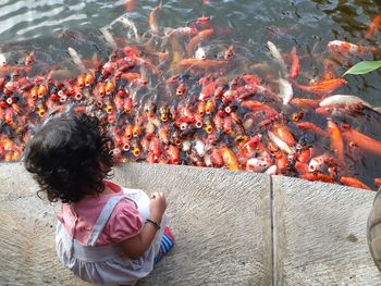 High angle view girl sitting by lake