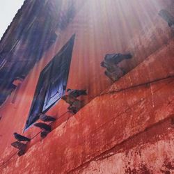 Low angle view of horse on wall