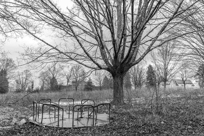 Bare trees against sky