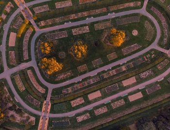 High angle view of plants in park