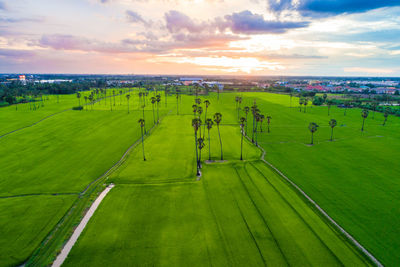 Scenic view of field against sky during sunset