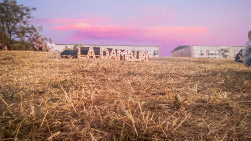 Scenic view of field against sky during sunset