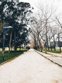 Footpath amidst trees in park against sky