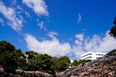 Low angle view of trees and buildings against sky