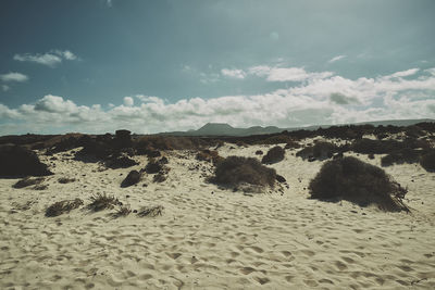 Scenic view of desert against sky