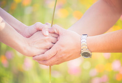 Cropped hands of man giving flower to woman on field