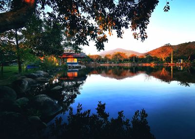 Reflection of trees in lake against orange sky